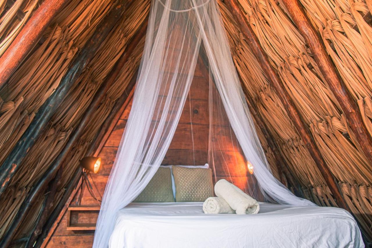 Mapache Hostel & Camping Isla Holbox ภายนอก รูปภาพ