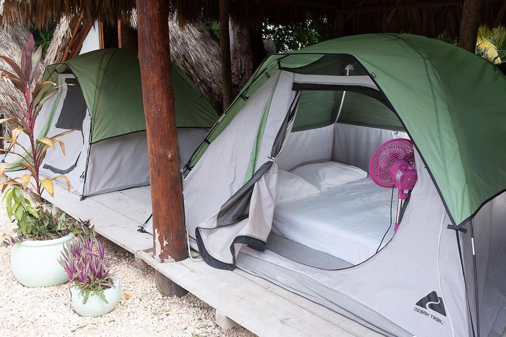 Mapache Hostel & Camping Isla Holbox ภายนอก รูปภาพ