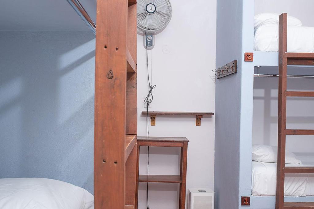 Mapache Hostel & Camping Isla Holbox ภายนอก รูปภาพ