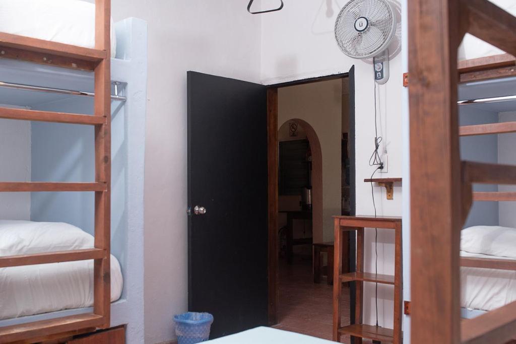 Mapache Hostel & Camping Isla Holbox ภายนอก รูปภาพ