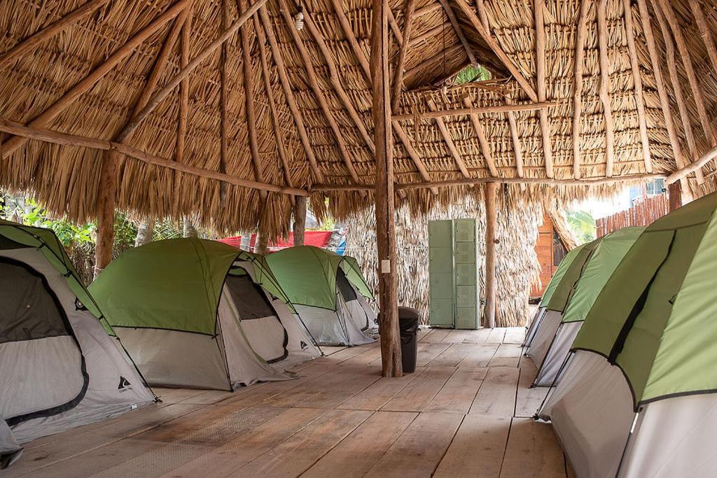 Mapache Hostel & Camping Isla Holbox ภายนอก รูปภาพ
