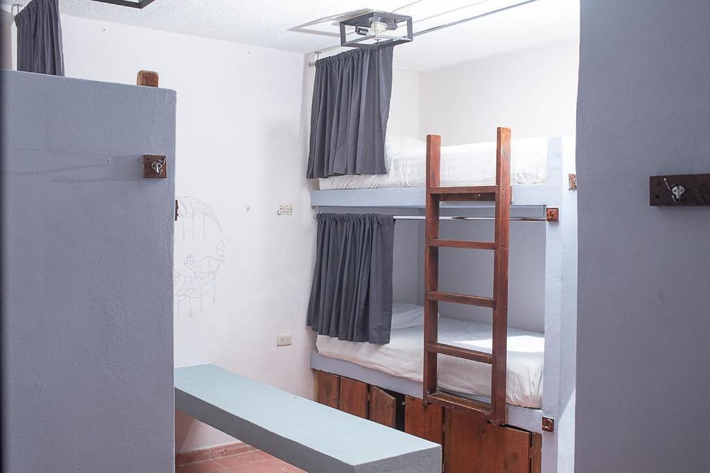 Mapache Hostel & Camping Isla Holbox ภายนอก รูปภาพ