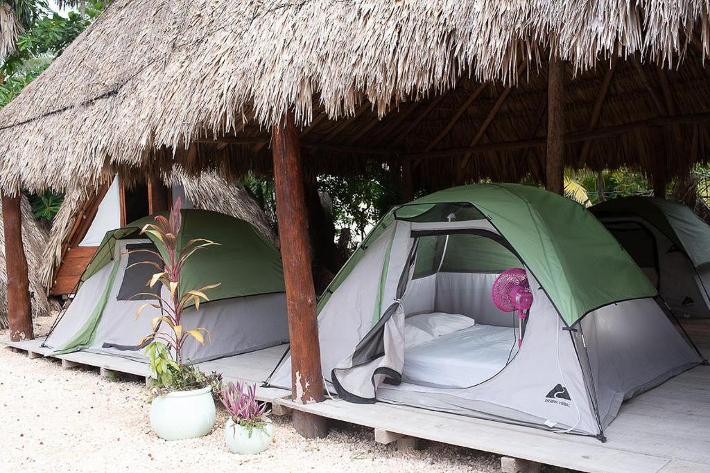 Mapache Hostel & Camping Isla Holbox ภายนอก รูปภาพ