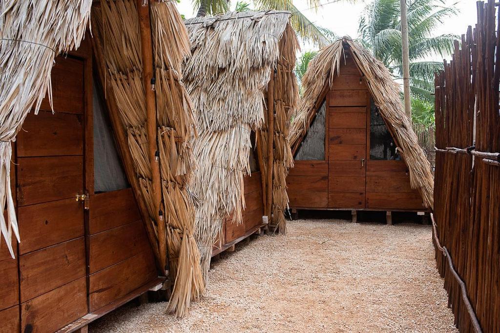 Mapache Hostel & Camping Isla Holbox ภายนอก รูปภาพ