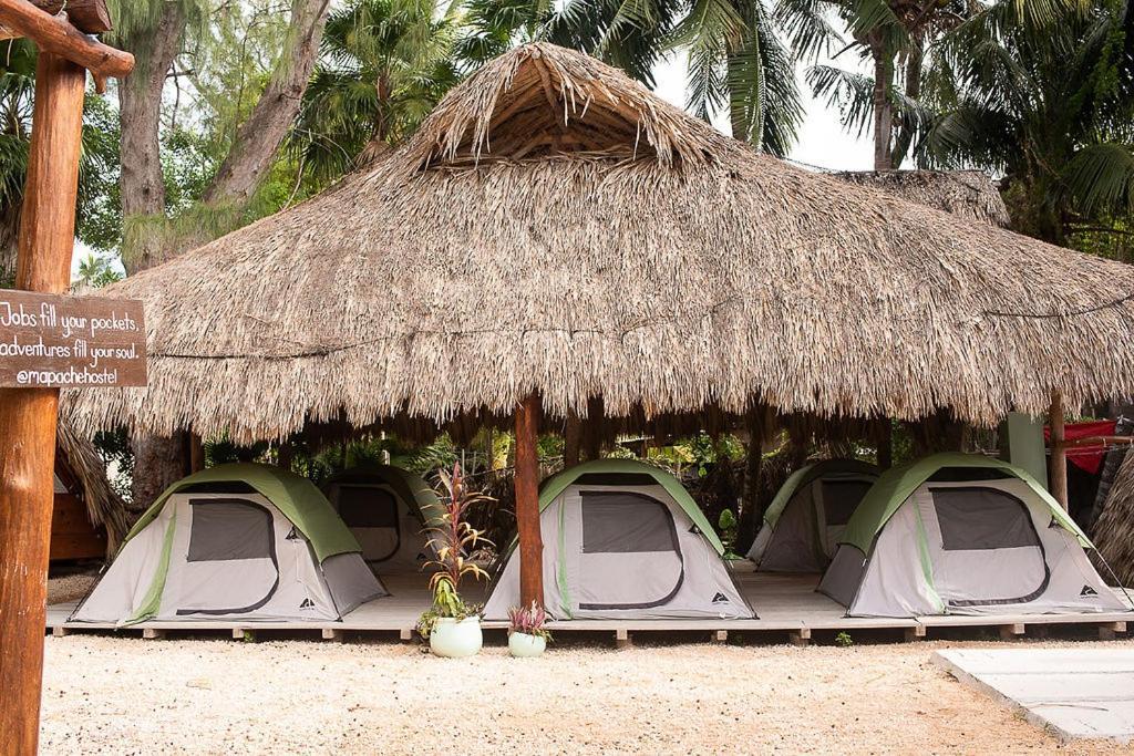 Mapache Hostel & Camping Isla Holbox ภายนอก รูปภาพ